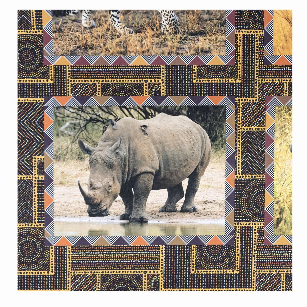 150DPB5F13231.jpg 150CM DIGITAL POLY BRUSH SA BIG 5 - Image 1