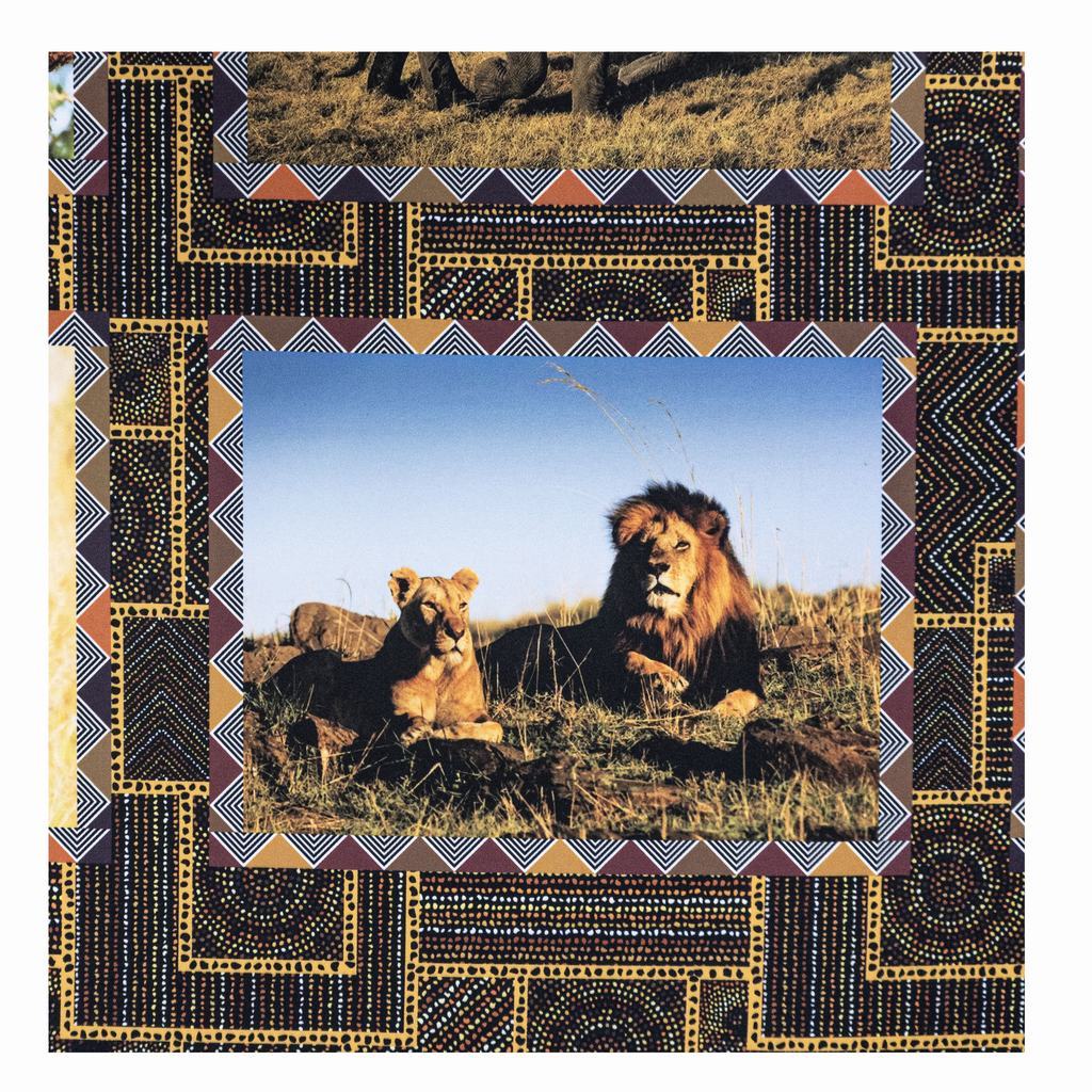 150DPB5F13232.jpg 150CM DIGITAL POLY BRUSH SA BIG 5 - Image 2