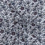 TANA LAWN 100% COTTON - Image 2