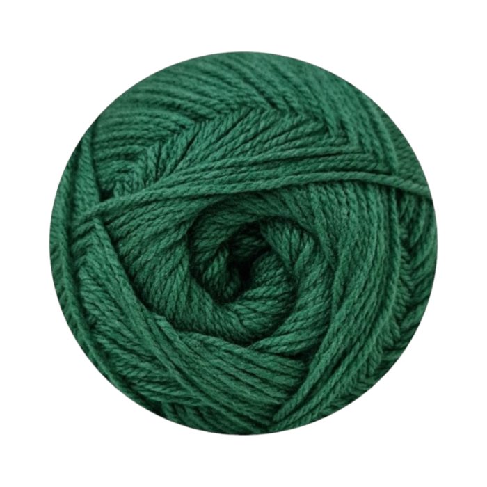 ELLE ARAN 300G FERN - Image 1