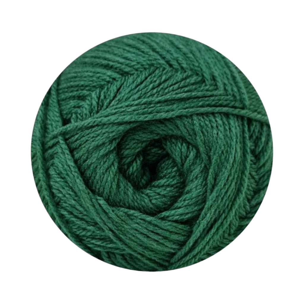 60055F256231.jpg ELLE ARAN 300G FERN - Image 1