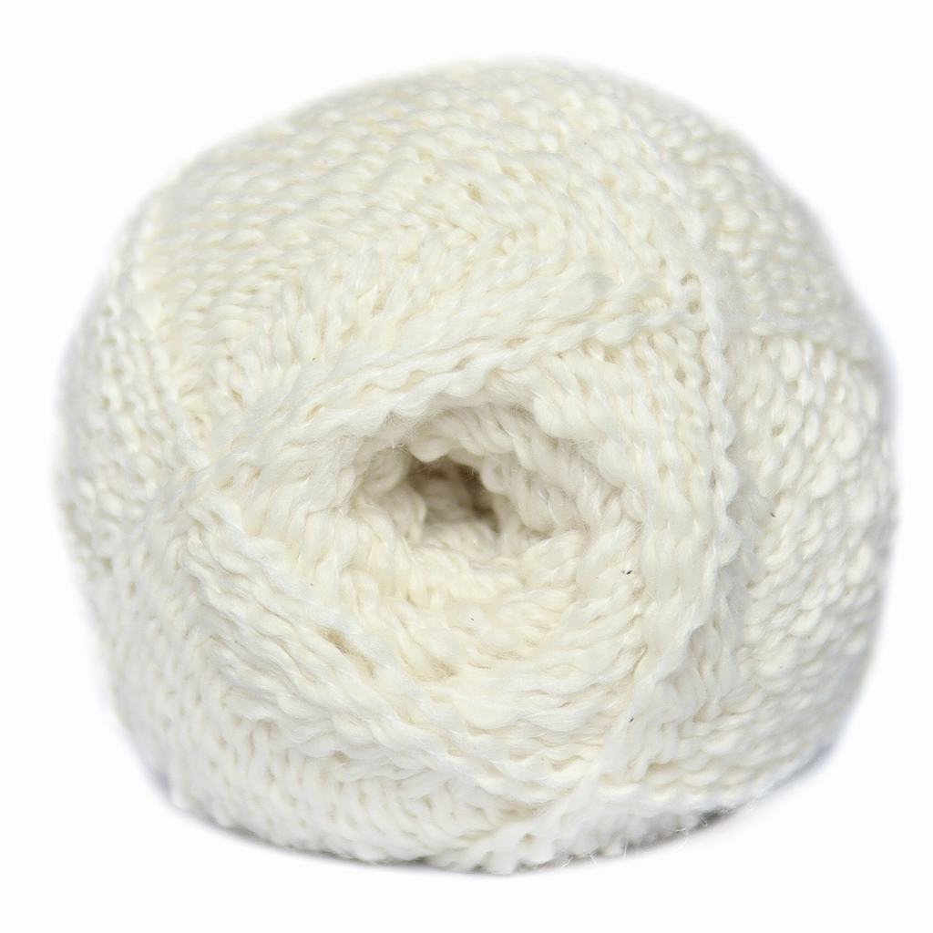 62205F001231.jpg SEASONS 100G - COCONUT MILK - Image 1