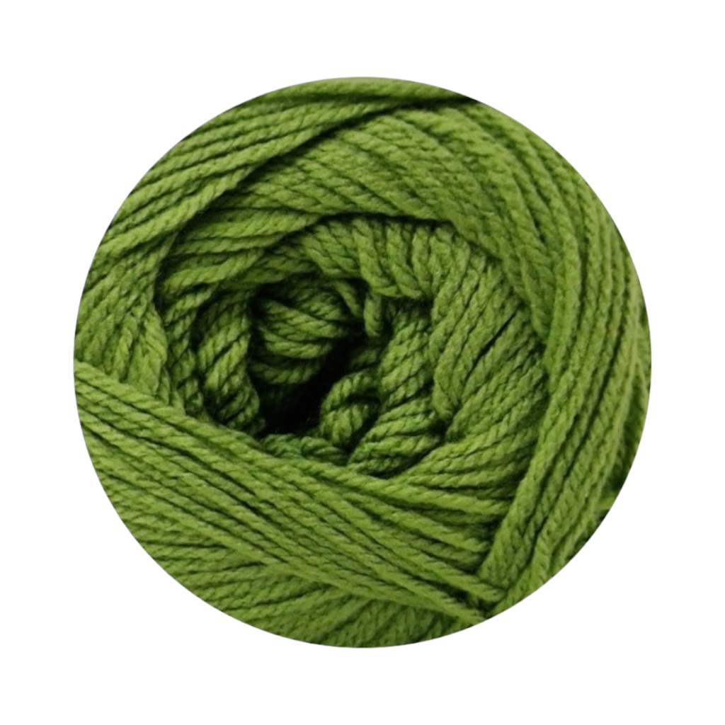 67BS5F30231.jpg BLANKET SOLID 300GM ASPARAGUS - Image 1