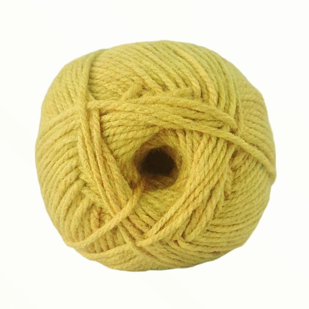90015F135.jpg CHARITY CHUNKY 100G-MUSTARD - Image 1
