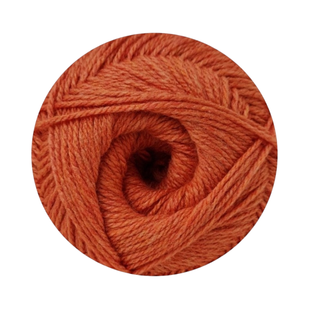 90095F701231.jpg CHARITY P/S 300G-PUMPKIN - Image 1