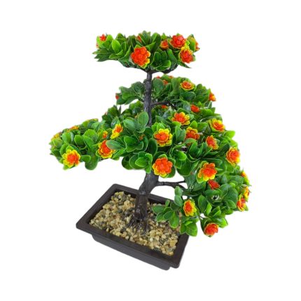 BONSAI PLANT