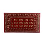 AMINA CARPET 67 X 120 913/DZ2/R