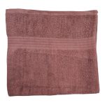 BRISTOL EGYPTION BATH TOWEL BROWN