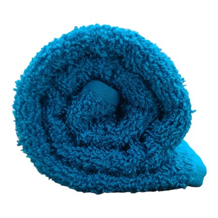 BRISTOL EGYPTION HAND TOWEL TEAL