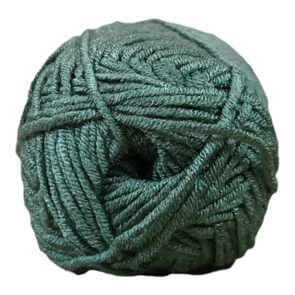 FC5F1631.jpg FEELS LIKE CASHMERE 100G - FOREST FERM - Image 1