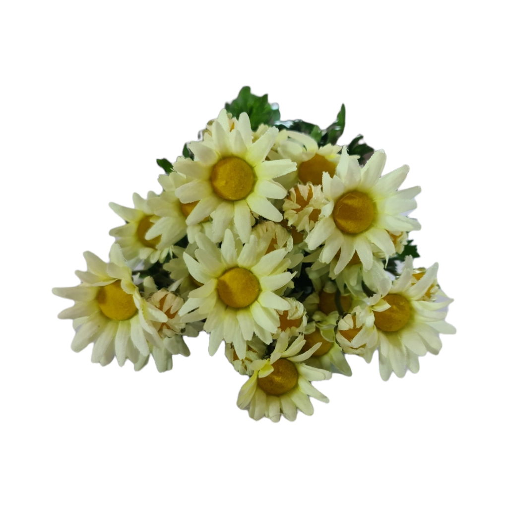 FF2DA205FC.jpg DAISY BUSH CREAM - Image 1