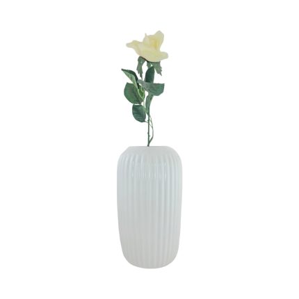 MEDIUM ROSE WHITE LIGHT PINK