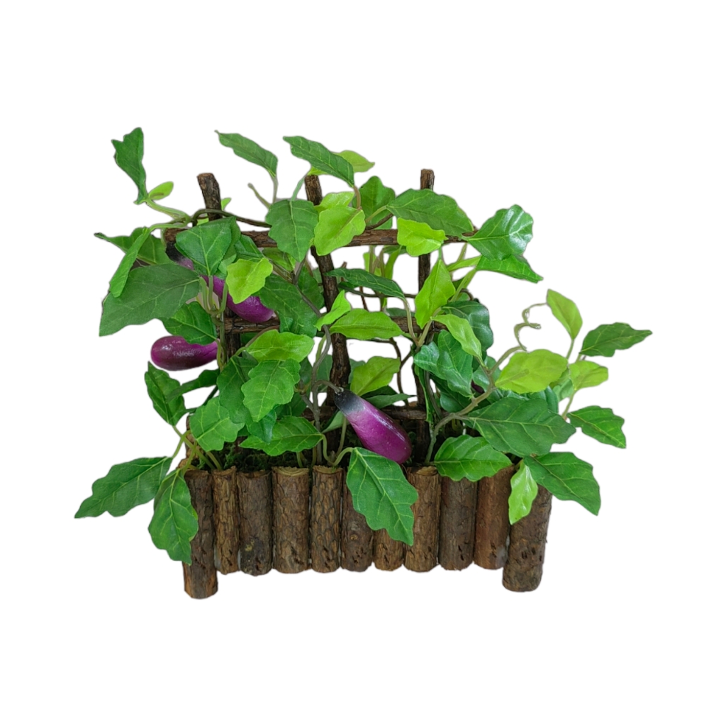 FF2DA3.jpg STRAWBERRY,TOMATO,EGG PLANT - Image 1