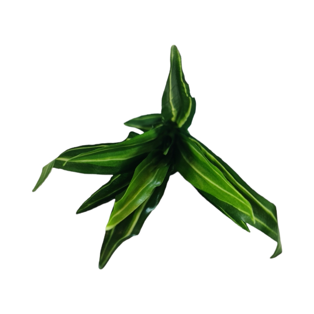 FF2DA85FGY.jpg PU DRACENTA PLANT W15 - Image 1