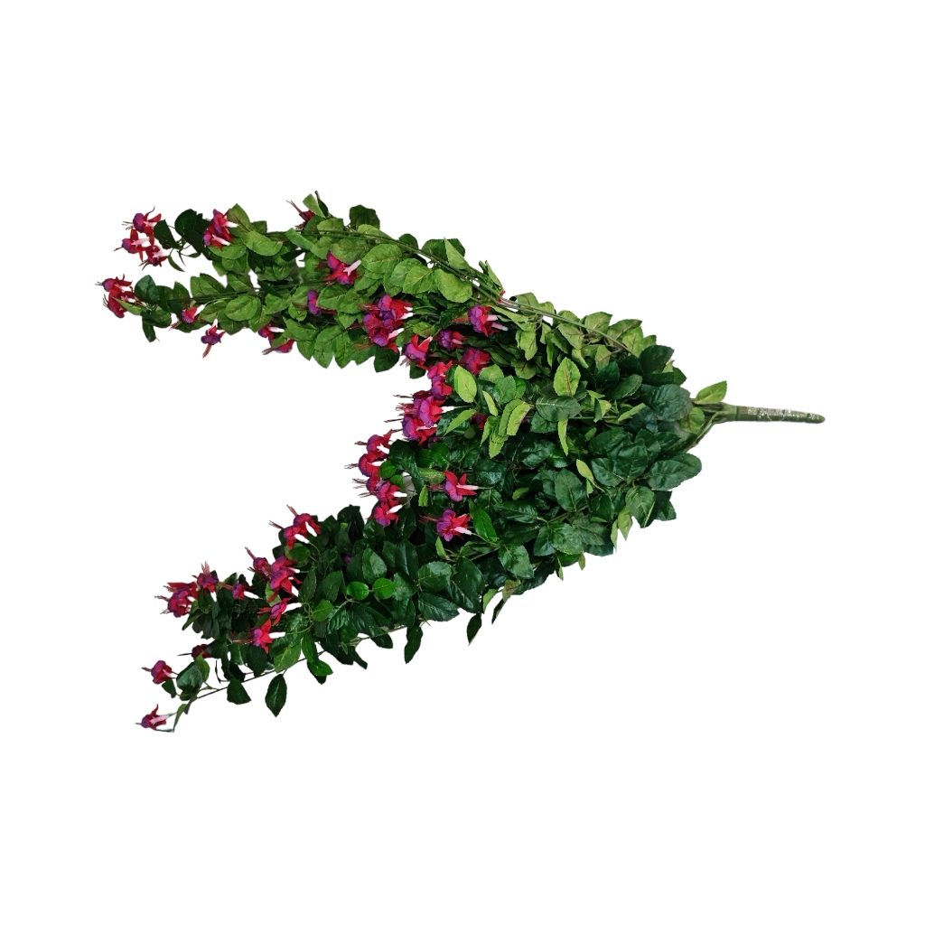 FF2DB10.jpg FUCHIA BUSH VINE - Image 1