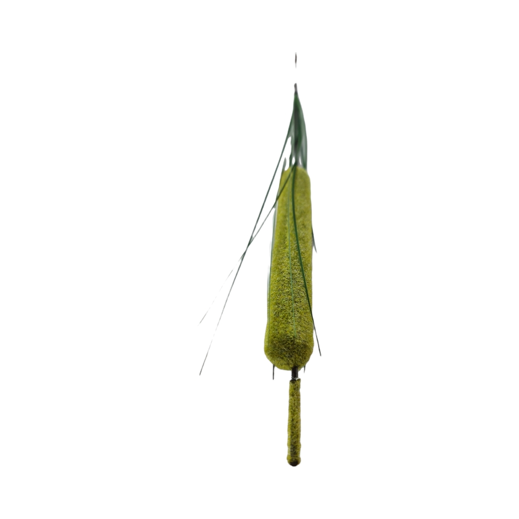 FF2DB4.jpg GIANT CATTAIL 116CM - Image 1