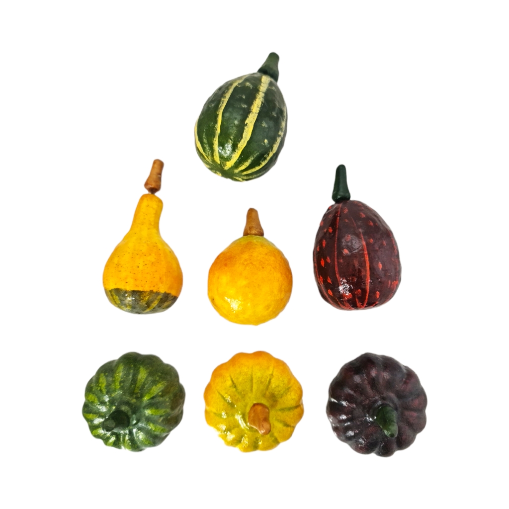 FF2DC5FC1.jpg ASSORTED PUMPKINS - Image 1