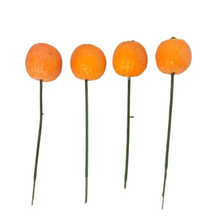 MINI ORANGES KUMQUATS