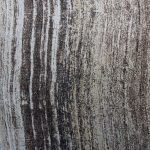 PRINTED CURTAIN JAQUARD - BROWN