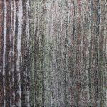PRINTED CURTAIN JAQUARD - GREEN
