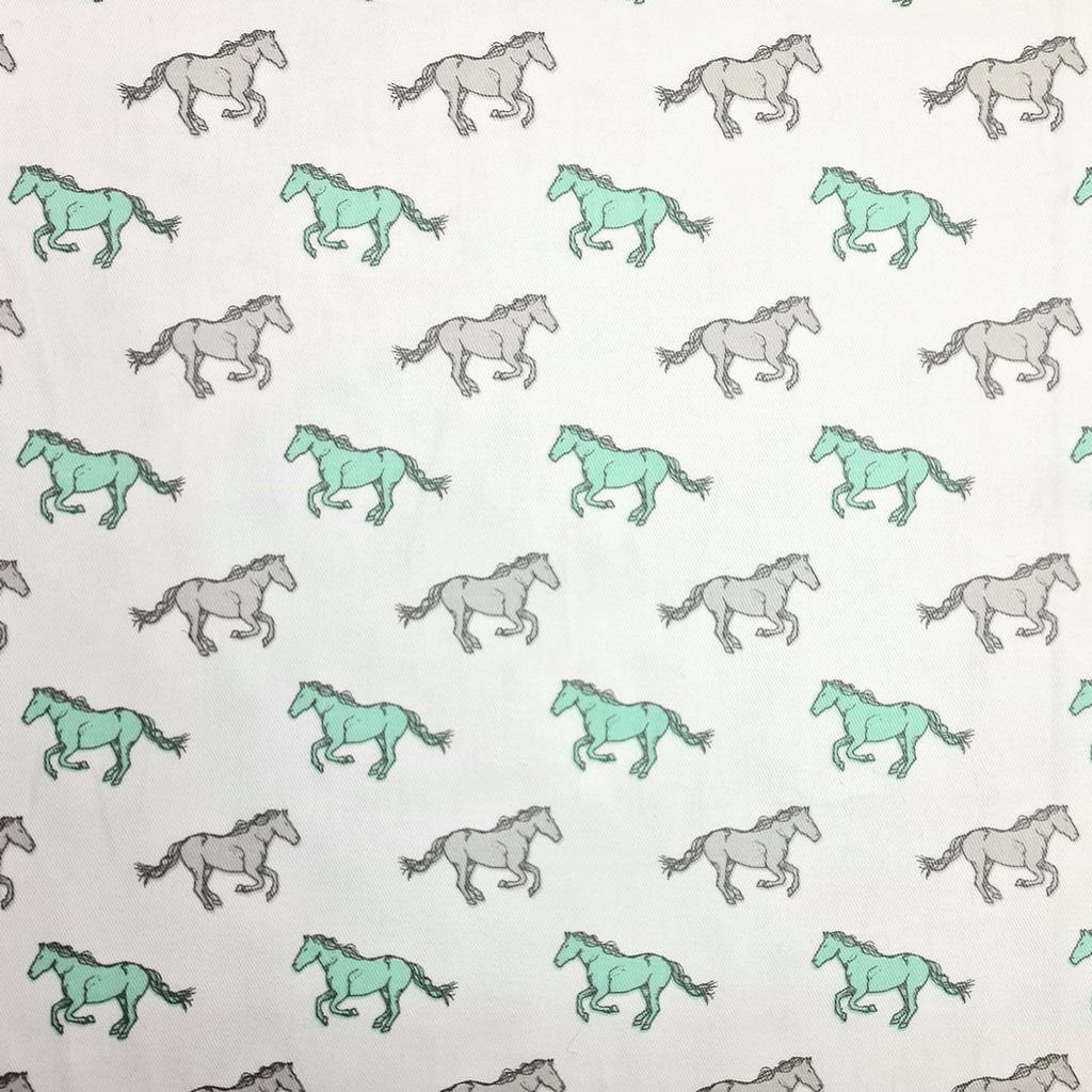 PCC35F51231.jpg ASSORTED  PRINTED COTTON CANVAS - Image 1