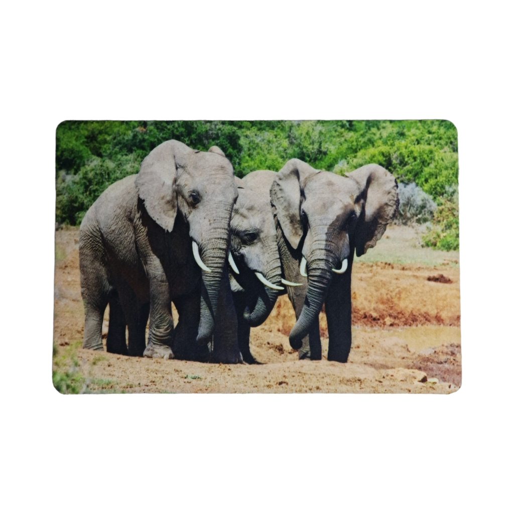 PM2DE231.jpg 29 X 43 PRINTED PLACEMAT ELEPHANT - Image 1