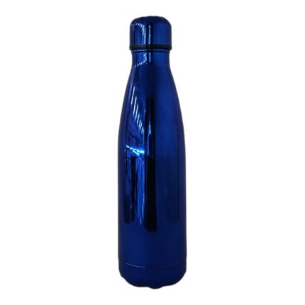 S/STEEL BOTTLE BLUE