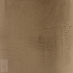 PLUSH LEATHER SHEARLING