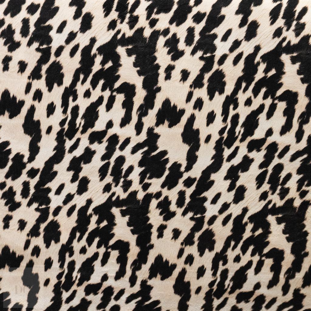 VVST5FNB231.jpg VELVET SCATTER UPHOLSTERY ALL OVER 140CM- NGUNI BLACK - Image 1