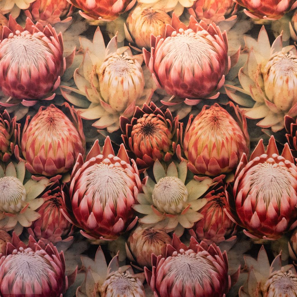 VVST5FPT231.jpg VELVET SCATTER UPHOLSTERY ALL OVER 140CM-PROTEA - Image 1