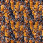 USA DIGITAL COTTON CRAFT 514